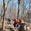 12월28일(토)송년산행 도정산 김쌤대장님리딩 사진 이미지