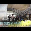 협업농장 이미지