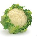 다이어트요가-C 이미지