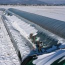 폭설…강원도, 대설 대응 <b>재난</b><b>안전</b><b>대책</b><b>본부</b> 1단계 가동