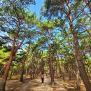 송정 물레방아 휴게소 이미지