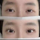 베스트올 양주백석점 | 양주 백석 속눈썹펌 연장 한번에 가능한 래쉬업 포인트증모 래쉬콩 속눈썹샵 다녀왔어요