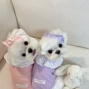 앤무드(N.mood) 이미지