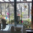 물맑은집 이미지