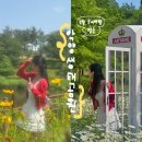 초원어린이공원 공중화장실 | 함안 악양생태공원 샤스타데이지 금계국 실시간 개화현황