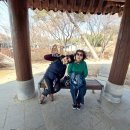 신라 진흥왕 행차길 이미지