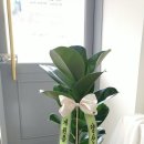 하늘호수피부과의원 이미지