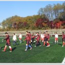 영광중앙초등학교 이미지