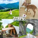 카페 태백로2417 | 강원도 여행코스 태백 정선 감탄로드 1박2일 여행지 총정리