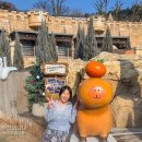 캐비앤원스탑 | 추운 겨울에도 워터파크! 김 모락모락 서울근교 노천스파 맛집 3곳