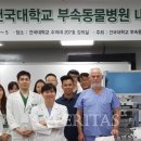 고동물병원 이미지