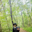 2025년 9월27일 정기산행. Everett Cullers Overlook Trail to River Trail. 이미지