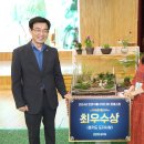 생활원예(반려식물) 이미지