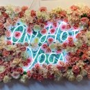 온핫요가
