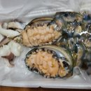 감포항 활어직판장 네이버블로그