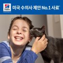 대한사료 여주대리점 | 힐스 고양이사료 어덜트 11 노령묘 x 제품 특징 및 정보 정리
