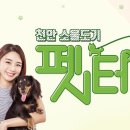 소울도기 이미지