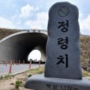 2024년 5월12일 지리산 바래봉(1165m) 철쭉산행 (100대명산)일요산행안내 이미지