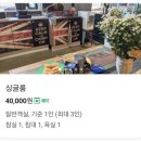 정글 게스트하우스 | [게하 후기] 단양 정글 게스트하우스 3인 내돈내산 이용 후기