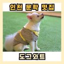 도그와트 이미지