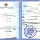 아리행정사 이미지