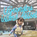 장미탕 | 아일랜드캐슬 찜질방, 워터파크 N차 재방문후기