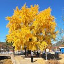 신당마을회관 이미지