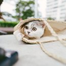바른경영컨설팅 이미지