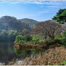 호암미술관 이미지