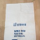 강원원주마대 이미지
