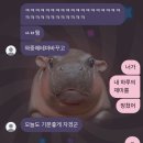 연풍하우스 | 괴산찐따의 칠칠맞지않은 7월달
