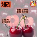 올리에프앤비 디너의 여왕