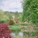 모네의 정원 이미지