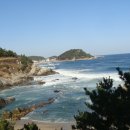 여주(강릉) 이미지