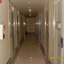 부흥로315번길 이미지