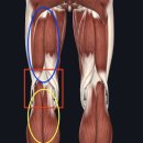 김건웅한의원 이미지