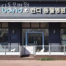 반디 동물병원 | 인천 삼산동 동물병원 반디동물병원 진료시간 접근성 이용후기