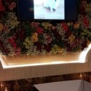 (주)펫바라기 이미지