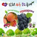 자두야놀자 이미지