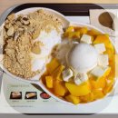 설빙진주 | 진주 카페 설빙 진주중앙점 인절미 애플망고치즈 반반빙수 후기 빙수 맛집