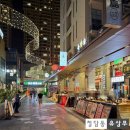 코리아마트 FRESH ZONE | [베이징 4박 5일] 왕징 핫플 허셩치린셔 노천 펍 징에이부루잉 (Feat. 칭다오 셴피 생맥주)