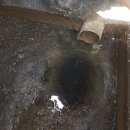 헵시바LPG 충전소 이미지