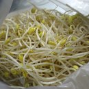 군산콩나물영농조합법인 이미지