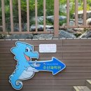 용상물고기식당 | 프렌즈]춘식투어로 떠난 부산 관광 두 번째 리뷰(해동용궁사·국립수산과학원 수산과학관/춘식투어 후기)