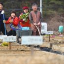 다복솔농장 이미지