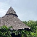 패밀리(FAMILY) | 치앙마이 마켓 추천 | 뱀부 패밀리마켓 Bamboo Family Market 후기