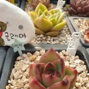 공리농장 이미지