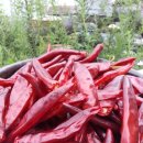 이레농장 이미지