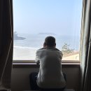 증도면사무소 | 전남여행 가볼만한곳 추천 신안 증도 엘도라도 리조트 해수찜 예약 및 가격정보 후기 가족여행추천지