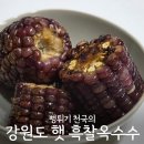 뻥튀기천국 흑찰옥수수 후기 | 도매가로 즐기는 강원도 햇옥수수, 냉동실 필수템!